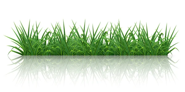 Grass, 10eps — Stock Vector
