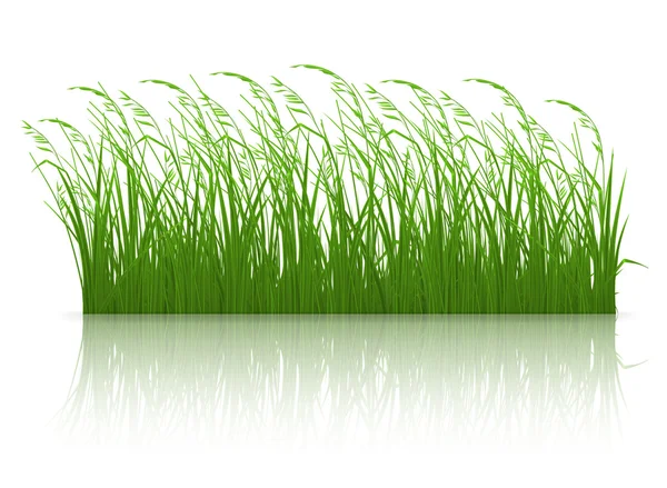 Green grass, 10eps — Stock Vector