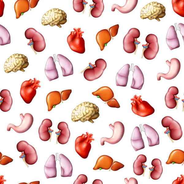 Internal human organs, seamless pattern eps10 — Stock Illustration Internal human organs, seamless pattern eps10 Stock Illustration