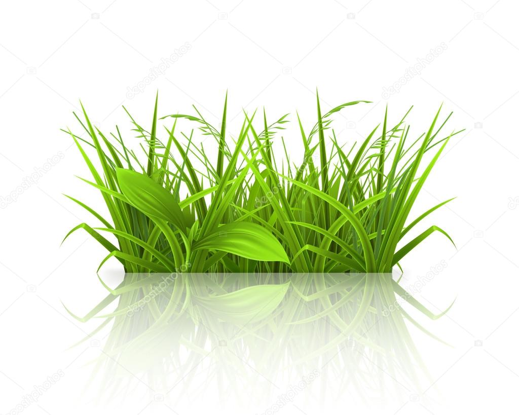pasto verde con — Vector de stock © natis76 #12828499