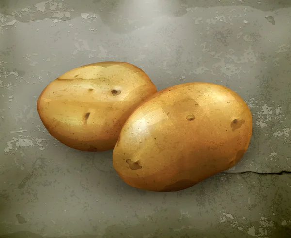 Kartoffeln, Vektor alten Stils — Stockvektor