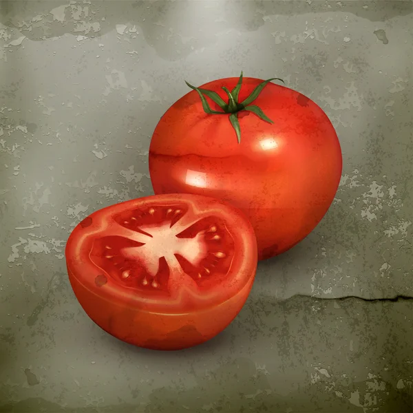 Tomate, vieux vecteur — Image vectorielle