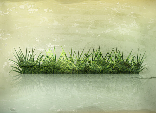 Grass, old-style vector
