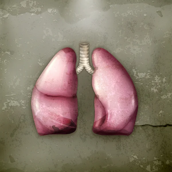 人类肺，旧式病媒 — 图库矢量图片