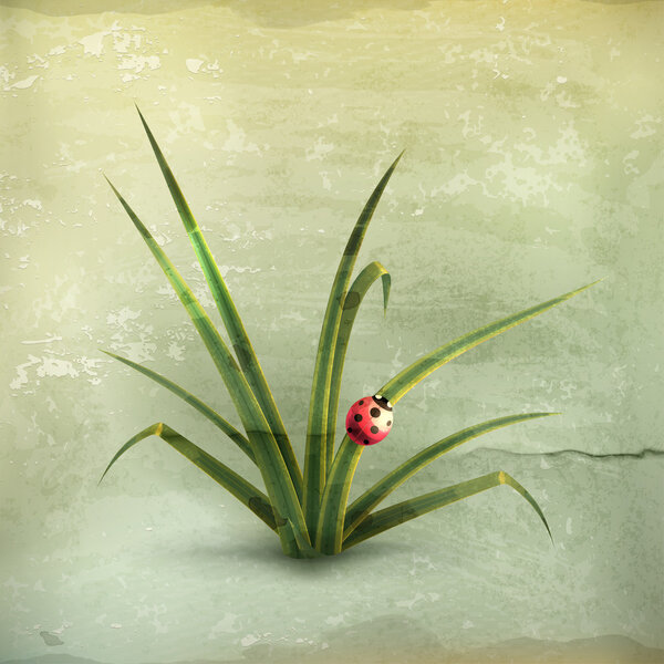 Ladybug and grass, old-style vector