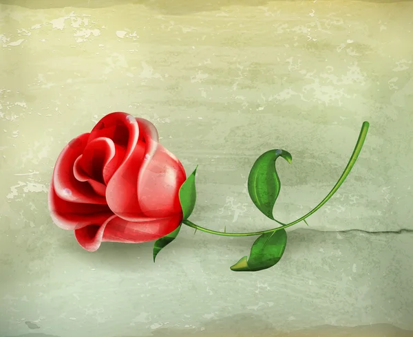 Rose, vector de estilo antiguo — Archivo Imágenes Vectoriales