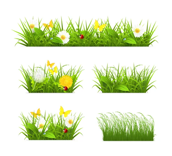 Grass set — Stock Vector