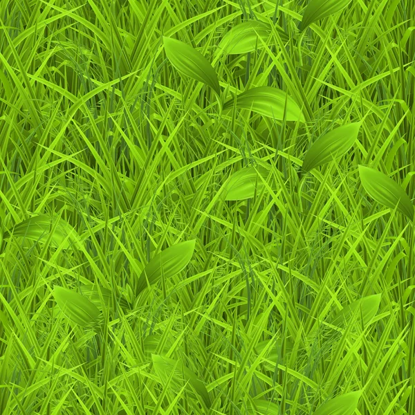 Groen gras, naadloos patroon — Stockvector