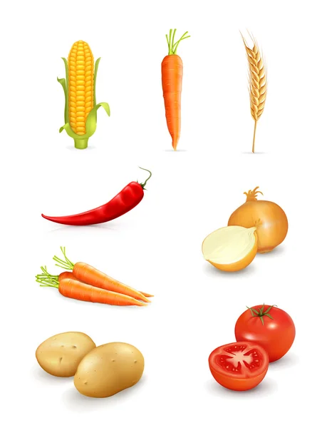 Légumes — Image vectorielle