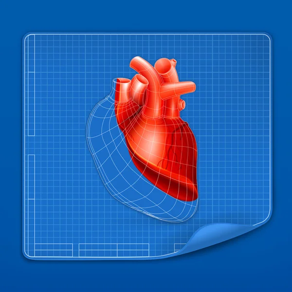 Blueprint struktura srdce, vektor — Stockový vektor