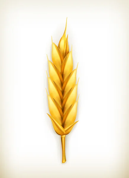 Weizen, Vektorsymbol — Stockvektor