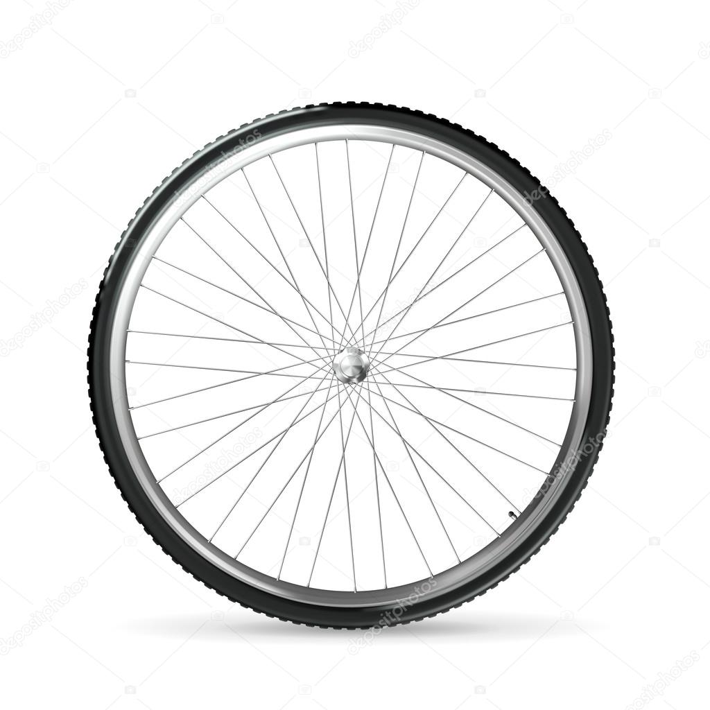 Bicycle wheel, vector