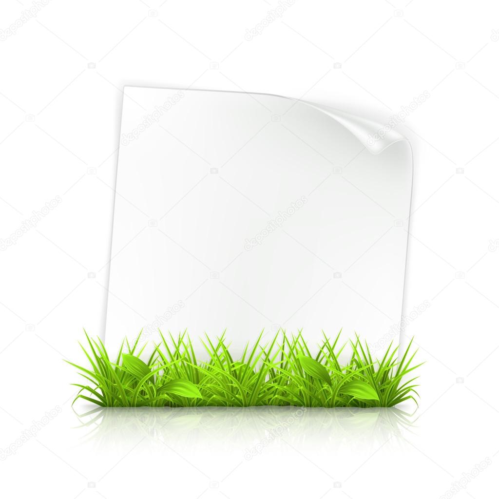 Grass and paper, vector