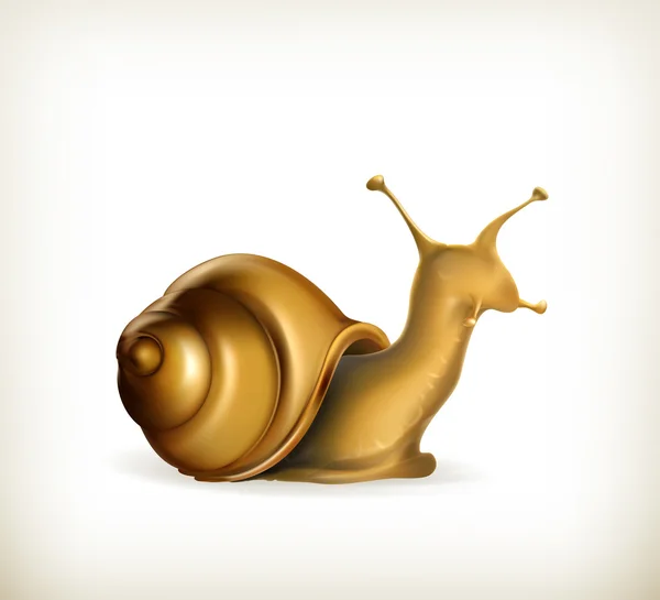 Caracol, mariscos, hélice — Vector de stock