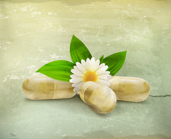 Herbal medicine, old-style vector