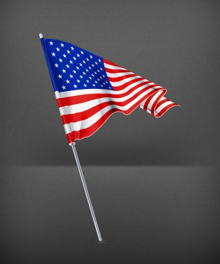 Amerikan bayrağı, vektör