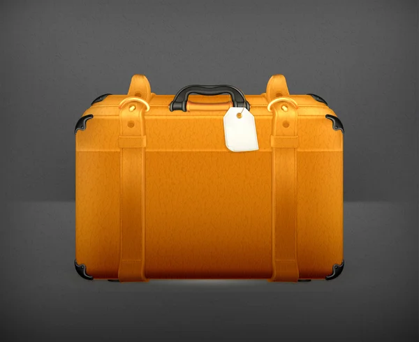 Bagage, vector — Stockvector