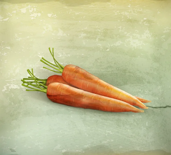 Морковь, вектор старого стиля — стоковый вектор