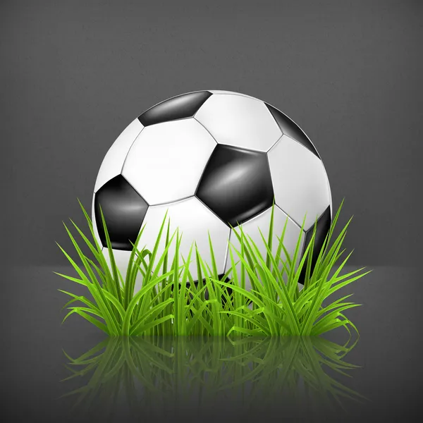 Ballon de football sur herbe, 10eps — Image vectorielle