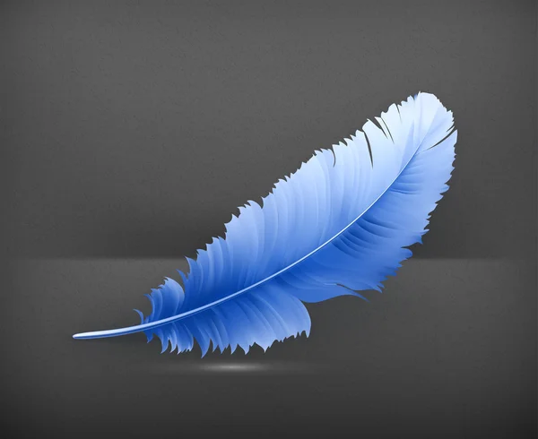 Feather vector — Stock Vector