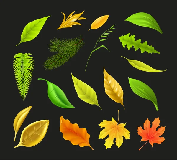 Leaf collection, on black vector — Stock Vector