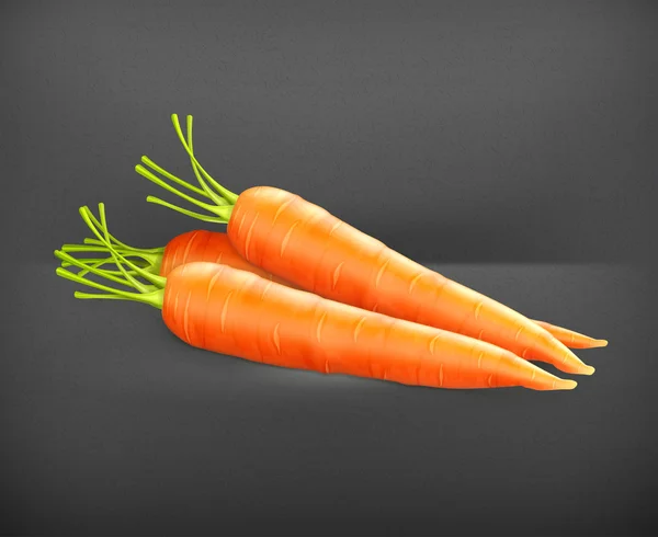 Zanahorias, vector — Vector de stock