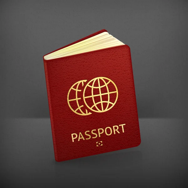 Passport, vector — Stock Vector
