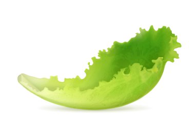 marul, vektör