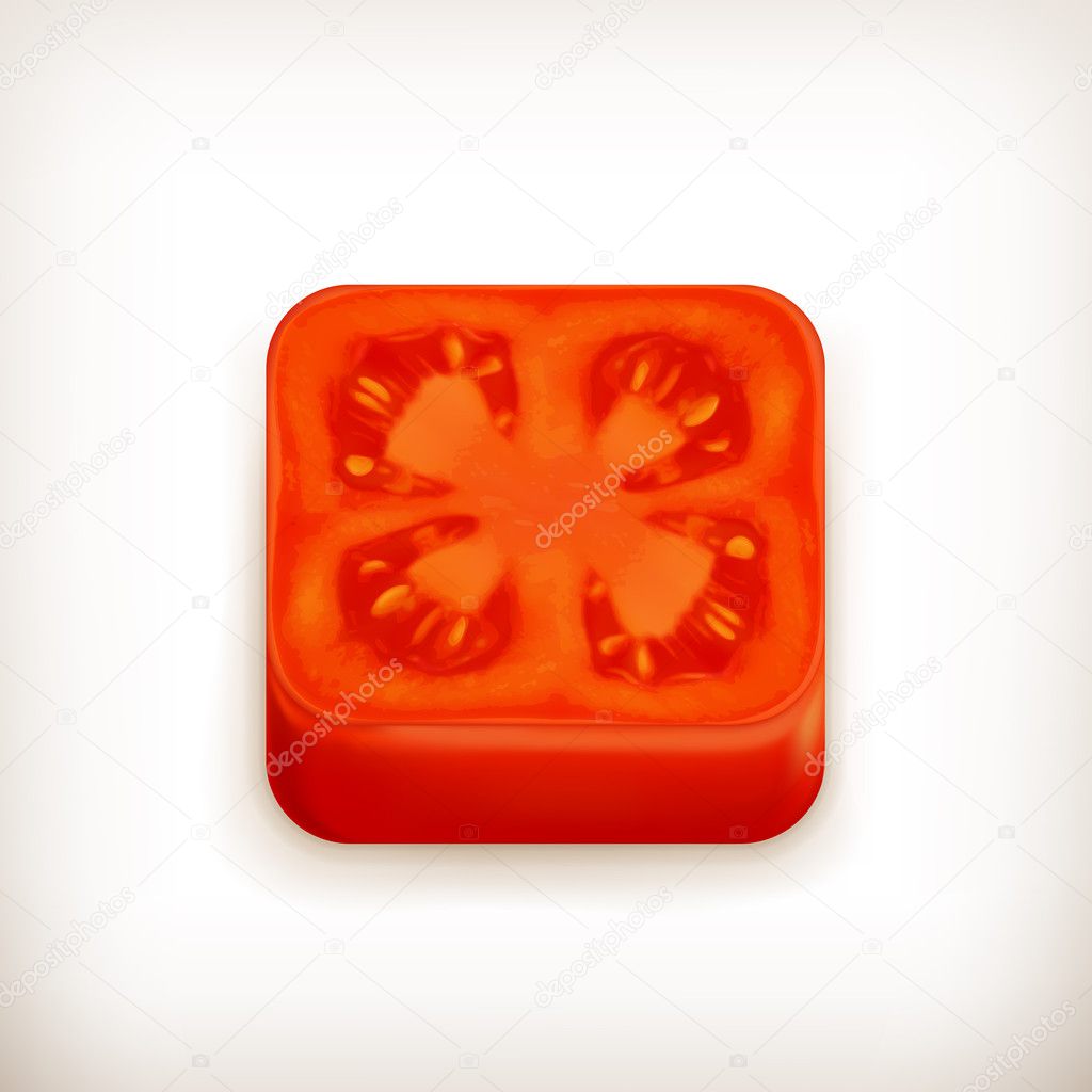 Slice of tomato app icon, vector