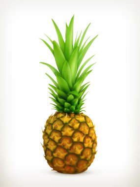 Ananas Vektörü