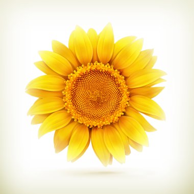 Free Free Sunflower One Svg SVG PNG EPS DXF File