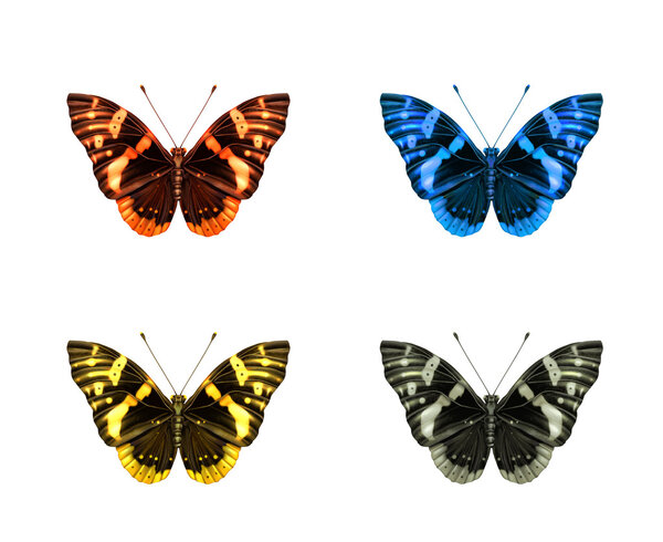 Векторный значок бабочки
