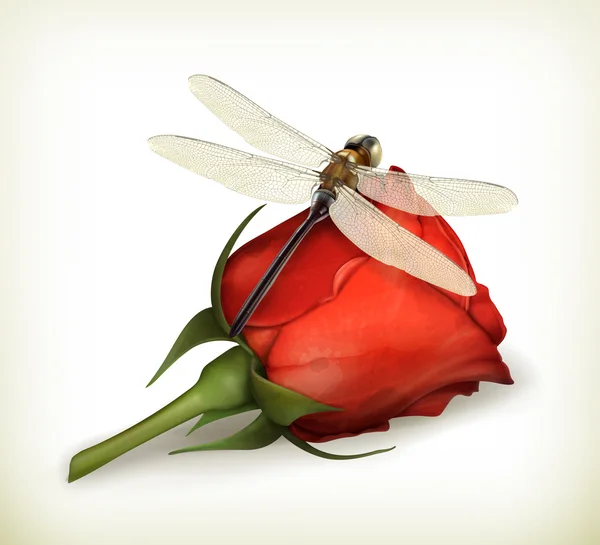Dragonfly și vector de trandafir — Vector de stoc