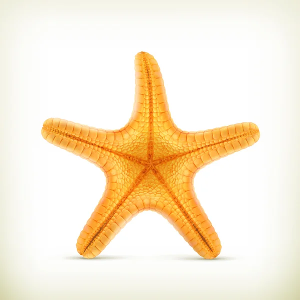 Bintang laut, ikon vektor realistis - Stok Vektor