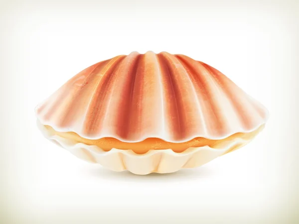 Seashell, высококачественная векторная иллюстрация — стоковый вектор