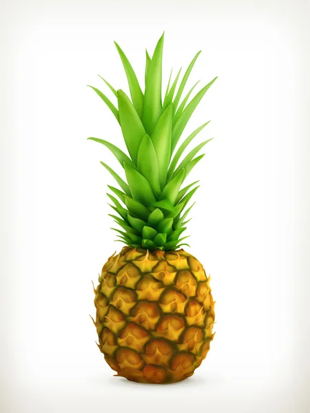 Pineapple vector — Stock Vector