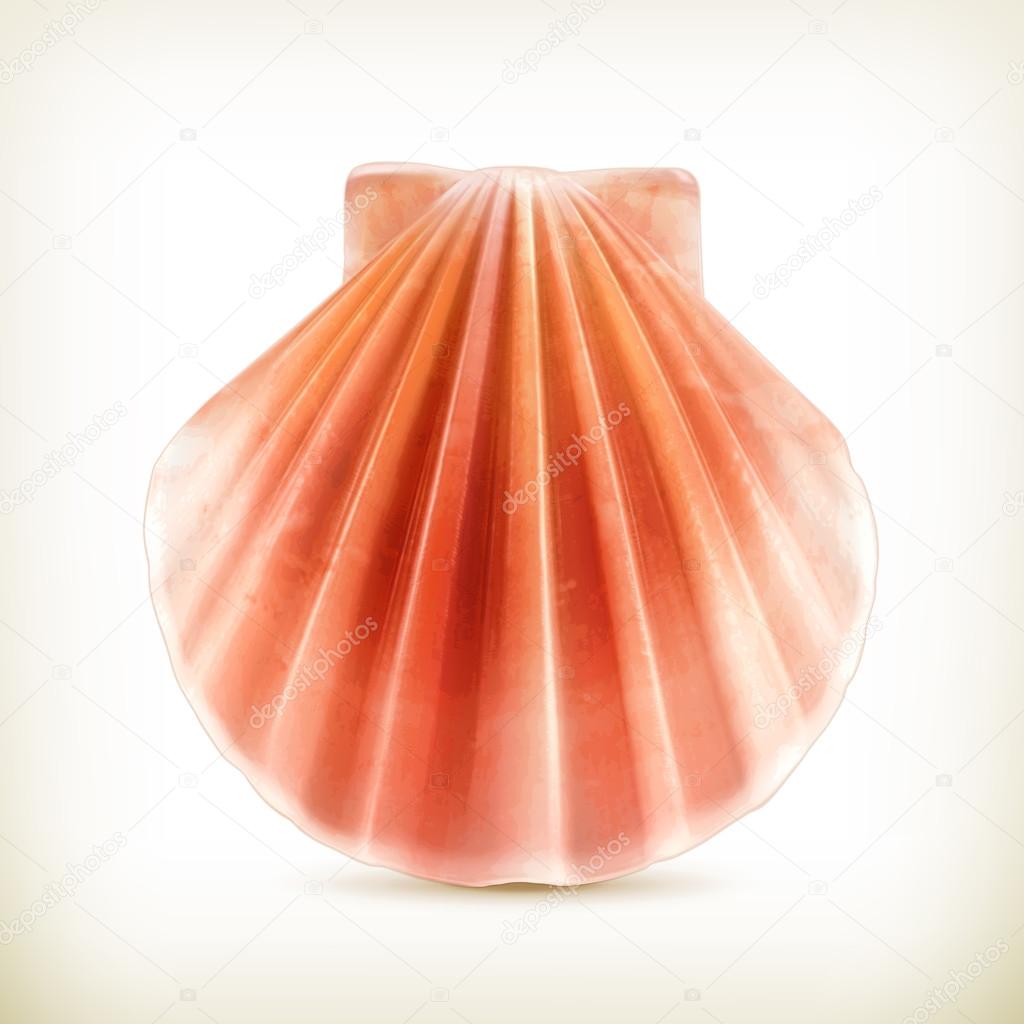 Seashell, vector icon