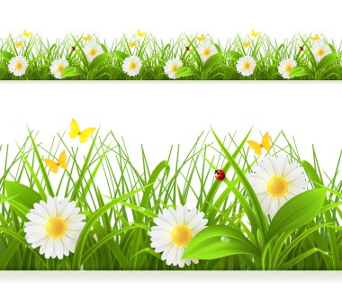 Bahar yeşil çim sorunsuz kenarlık.