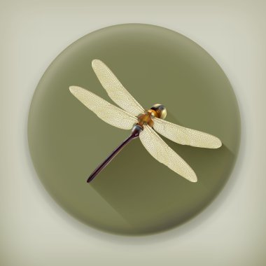 Dragonfly, long shadow vector icon vector Dragonfly, long shadow vector icon vector