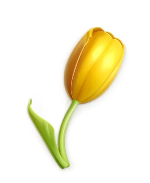 Yellow tulip, vector icon — Stock Vector