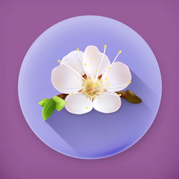 Cherry blossom, long shadow vector icon — Stock Vector
