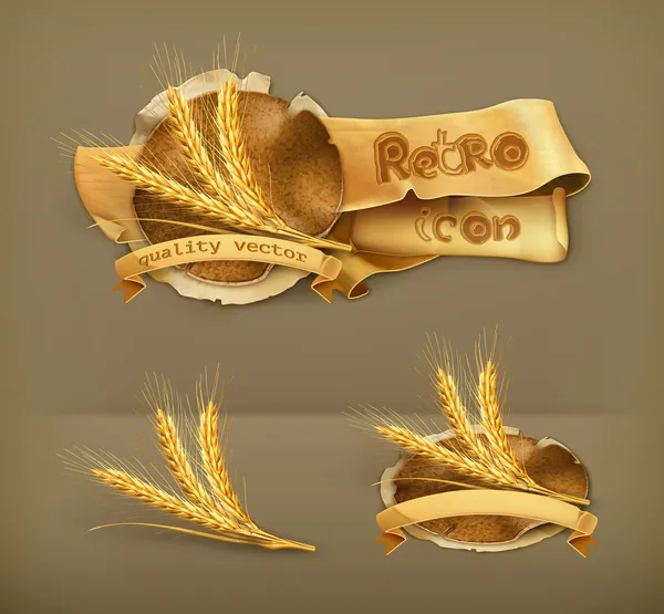 Уши пшеницы, векторная икона — стоковый вектор