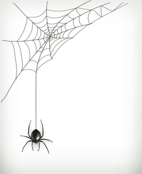 Spider vector web — Vector de stock