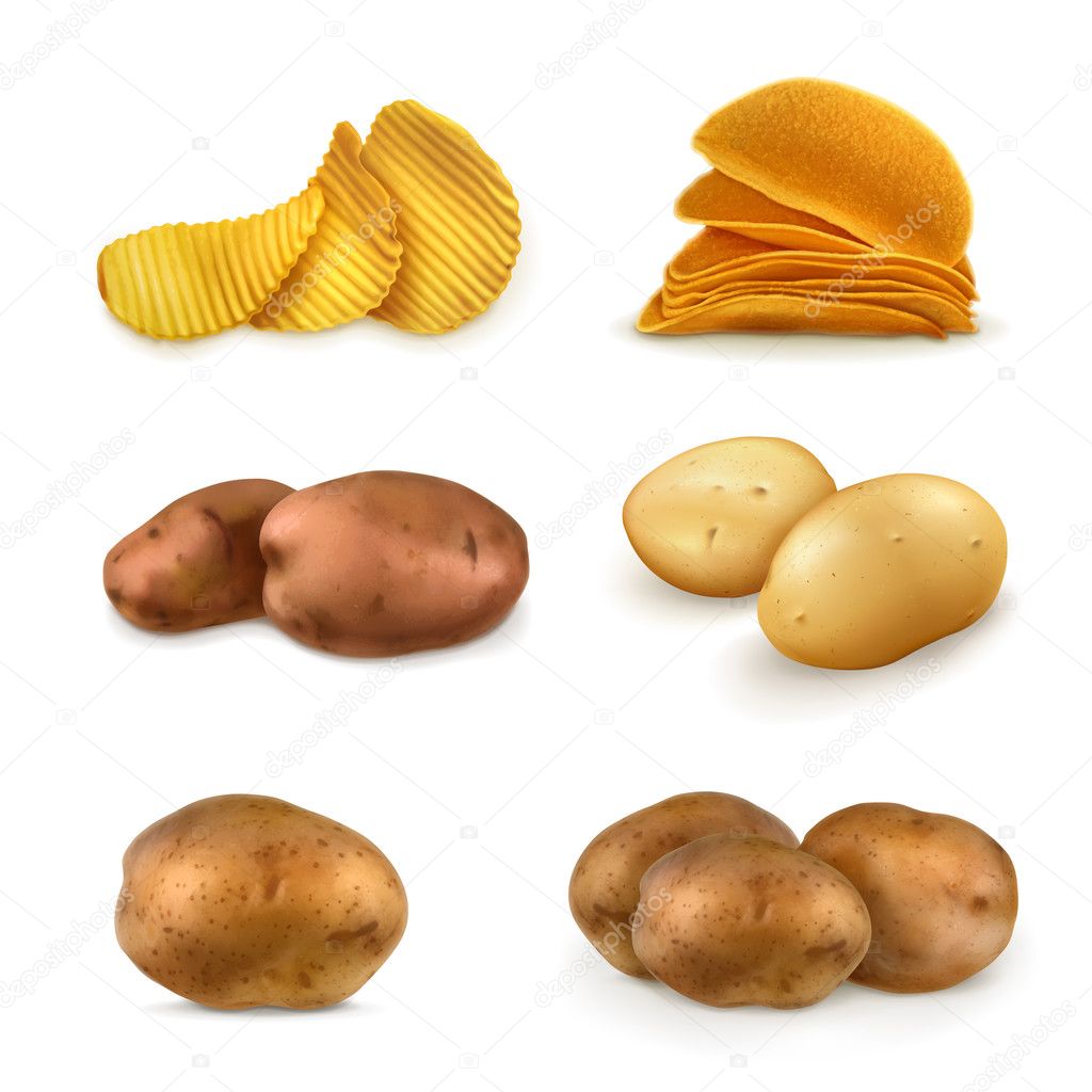 Potatoes vector set