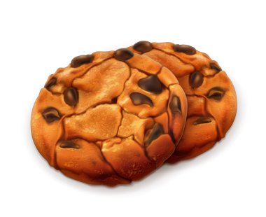 Chocolate cookies, detailed vector