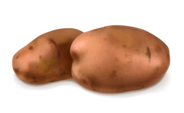 patates, vektör çizim