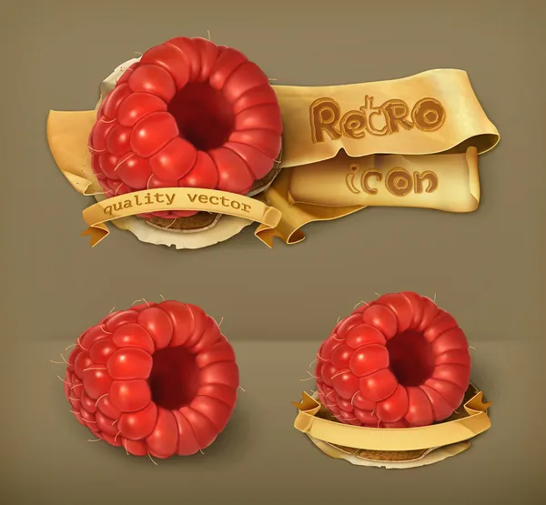 Raspberry, icono de vector retro — Vector de stock