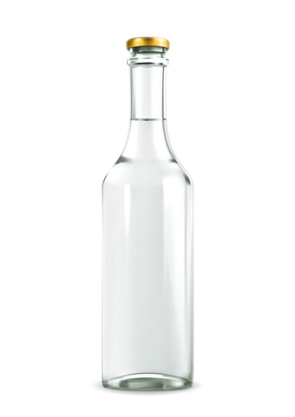 Alcohol drink in bottle vector illustration