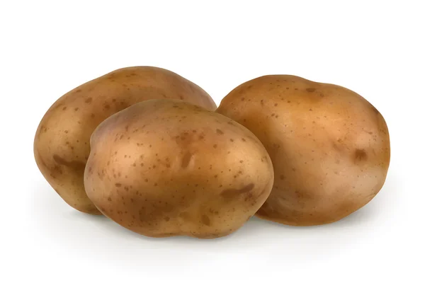 Картопля, Векторні ілюстрації — стоковий вектор
