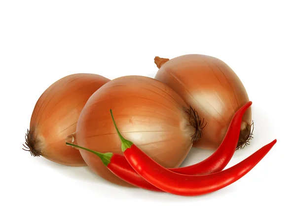 Cipolla e peperoni, illustrazione vettoriale medicina popolare — Vettoriale Stock